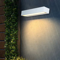 A modern and energy-efficient outdoor wall light illuminating a contemporary garden setting