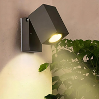 Versatile waterproof outdoor light and garden LED light ideal for driveway lighting
