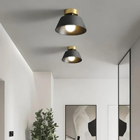 Cauzac™ Stylish LED Ceiling Light for Your Home