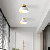 Cauzac™ Stylish LED Ceiling Light for Your Home