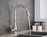 Stainless steel kitchen mixer tap with pull out spray