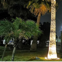 Cauzac™ Elegant Outdoor Tree Spotlights for Enchanting Evenings