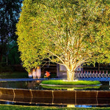 Cauzac™ Elegant Outdoor Tree Spotlights for Enchanting Evenings