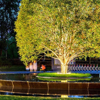 Cauzac™ Elegant Outdoor Tree Spotlights for Enchanting Evenings