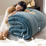 A collection of winter blankets including cozy and thick fleece options in a large size.