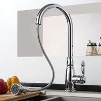 Cauzac™ Dual-Function Kitchen Mixer Tap With Pull-Out Spray