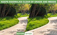 Cauzac™ Efficient Rotary Lawn Edger Tool