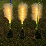Solar powered garden lights illuminating a pathway in a garden