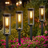Solar garden lantern illuminating a garden pathway