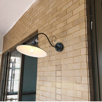 LED outdoor light fixture illuminating a garden
