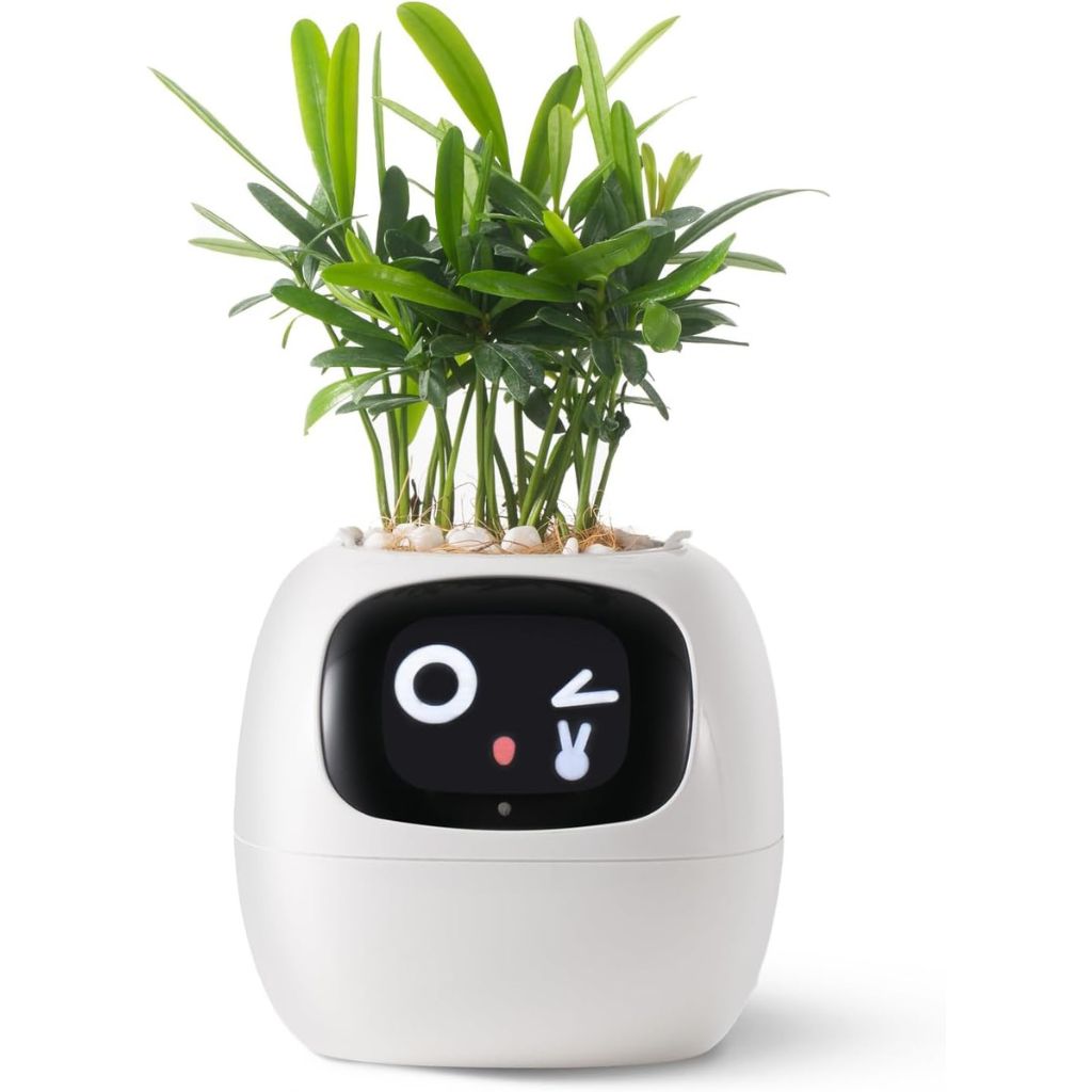 Innovative self watering plant pot with automatic plant watering system