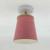 Round LED ceiling light with modern colorful and dimmable features