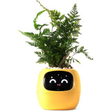 Cauzac™ EcoCare Smart Ivy Plant – The Intelligent Plant Companion