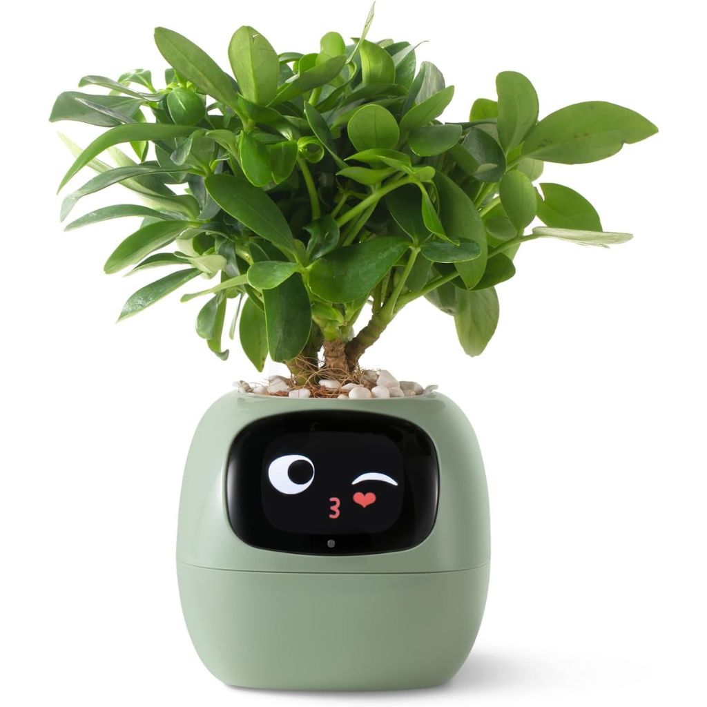 Cauzac™ EcoCare Smart Ivy Plant – The Intelligent Plant Companion