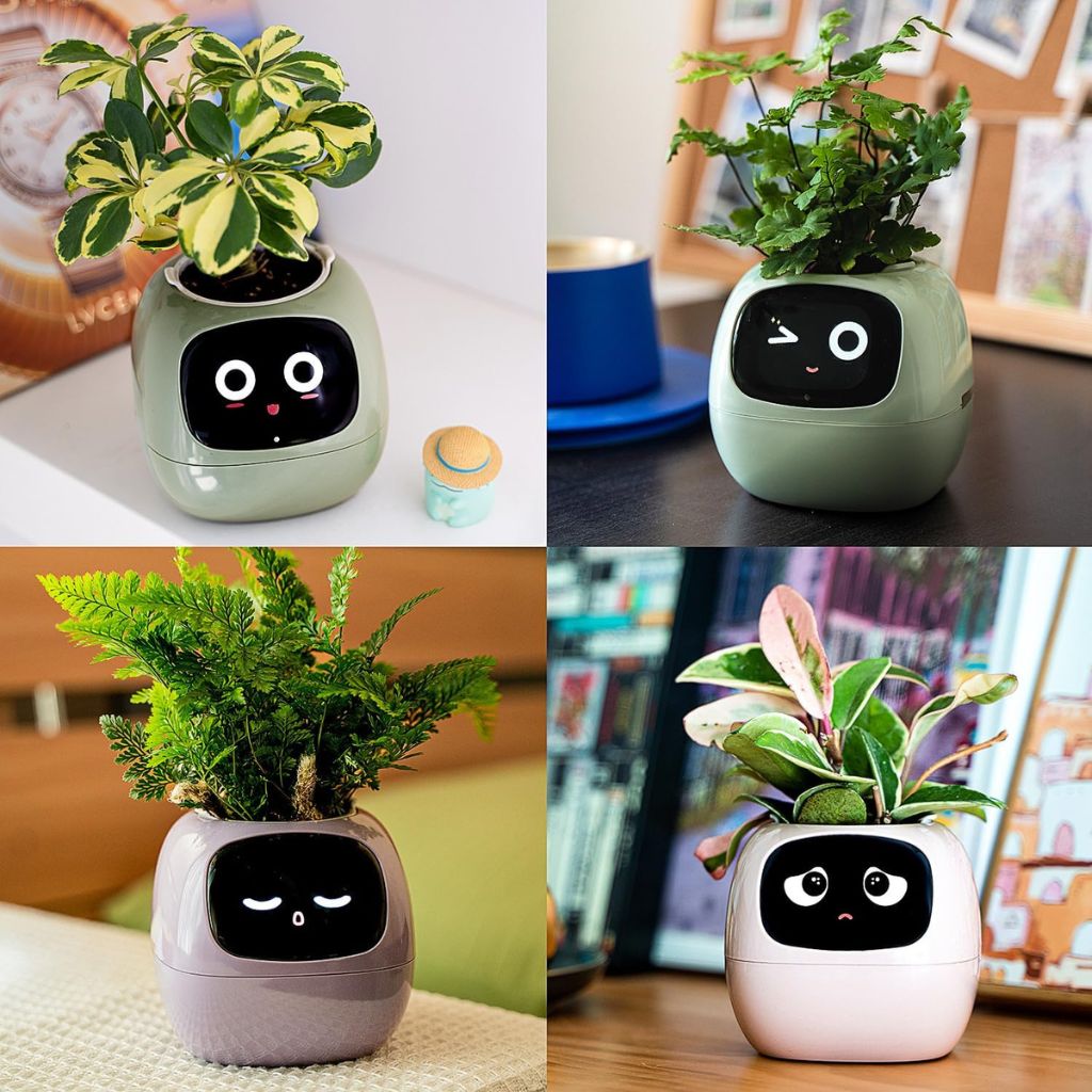 Cauzac™ EcoCare Smart Ivy Plant – The Intelligent Plant Companion