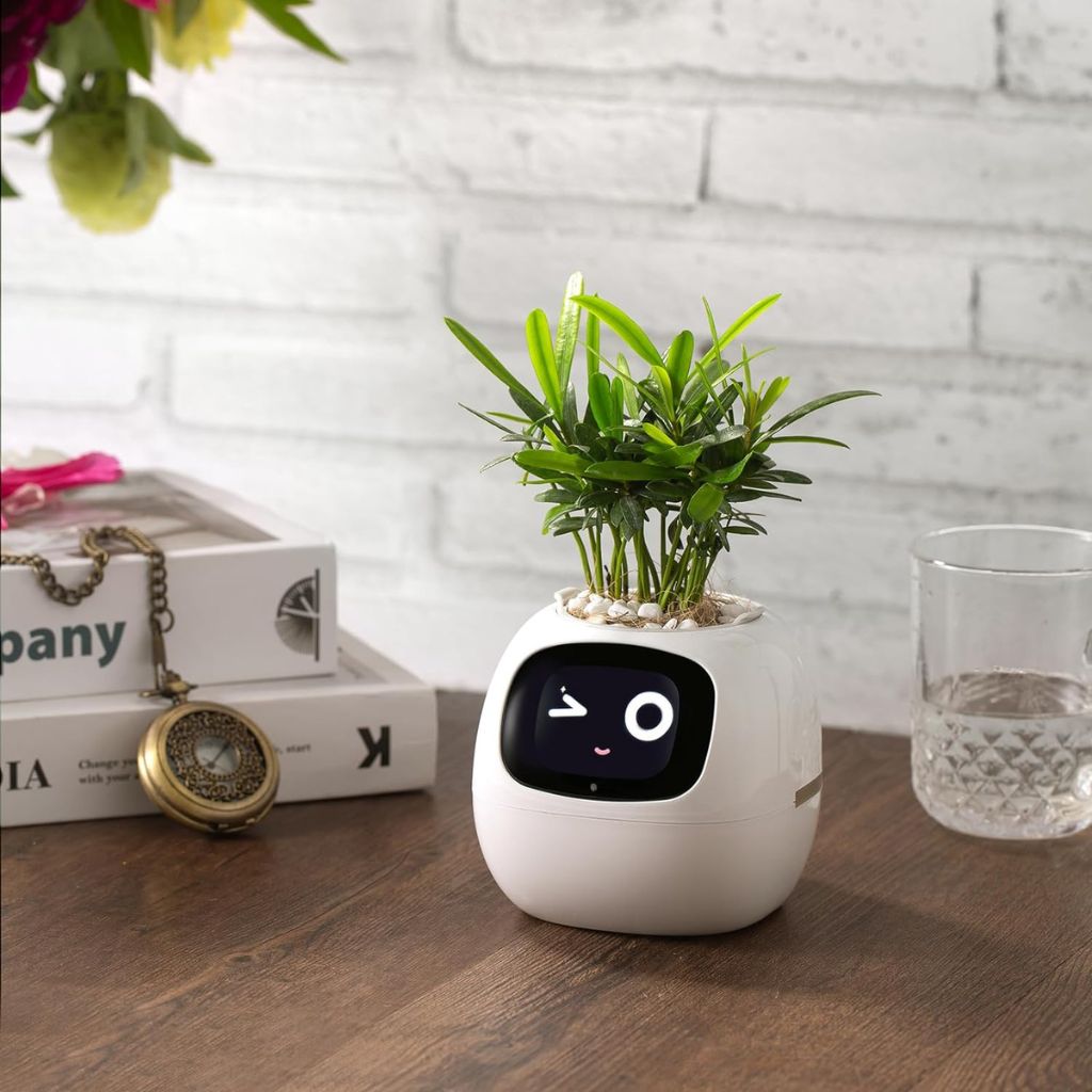 Cauzac™ EcoCare Smart Ivy Plant – The Intelligent Plant Companion