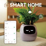 Cauzac™ EcoCare Smart Ivy Plant – The Intelligent Plant Companion