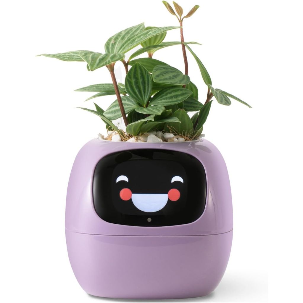 Cauzac™ EcoCare Smart Ivy Plant – The Intelligent Plant Companion