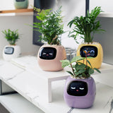 Cauzac™ EcoCare Smart Ivy Plant – The Intelligent Plant Companion