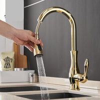 Cauzac™ Modern Single-Handle Kitchen Mixer Tap with Retractable Spray Head