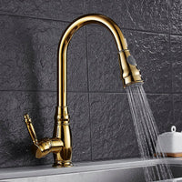 Cauzac™ Dual-Function Kitchen Mixer Tap With Pull-Out Spray