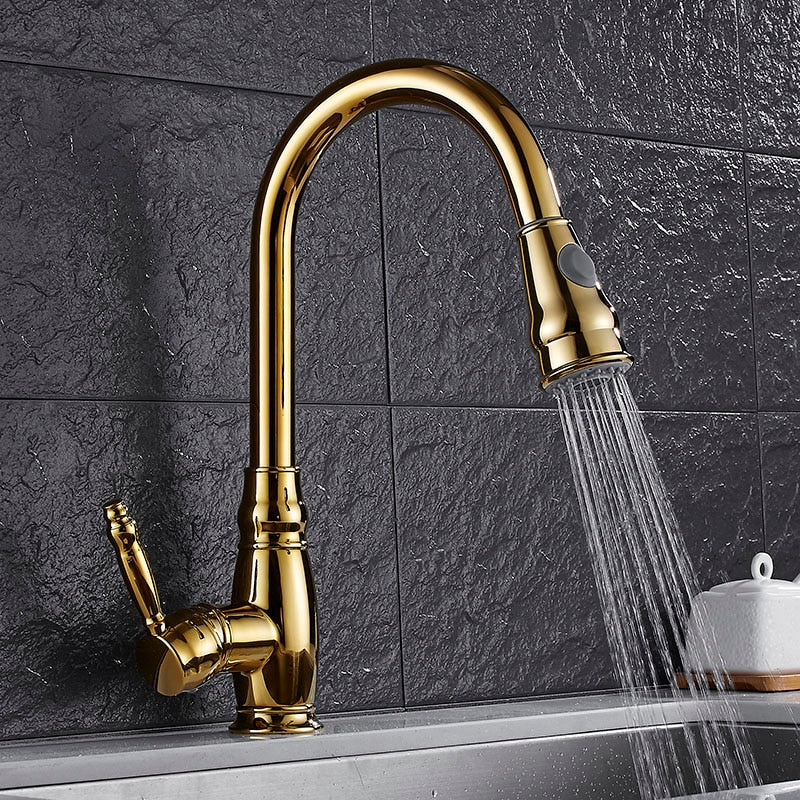 Cauzac™ Dual-Function Kitchen Mixer Tap With Pull-Out Spray