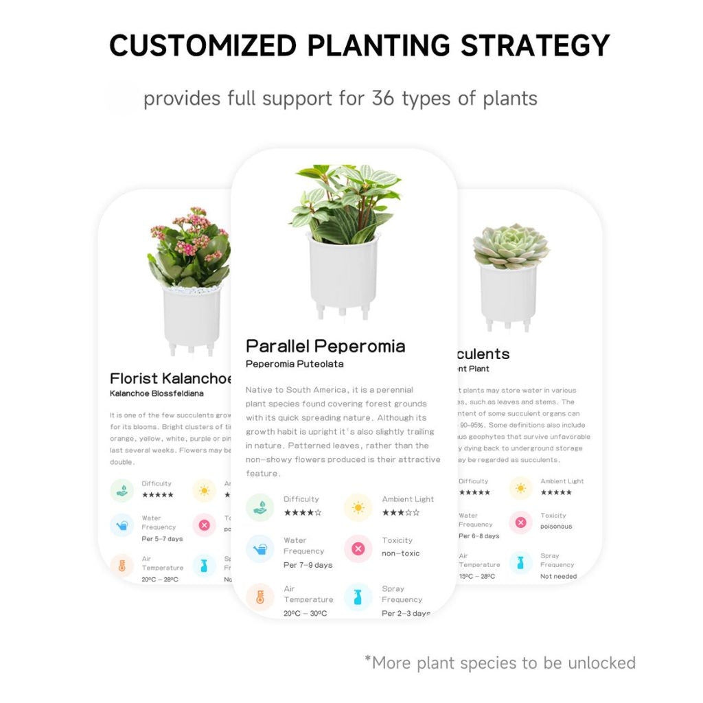 Cauzac™ EcoCare Smart Ivy Plant – The Intelligent Plant Companion