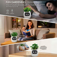 Cauzac™ EcoCare Smart Ivy Plant – The Intelligent Plant Companion