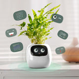 Cauzac™ EcoCare Smart Ivy Plant – The Intelligent Plant Companion