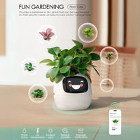 Cauzac™ EcoCare Smart Ivy Plant – The Intelligent Plant Companion