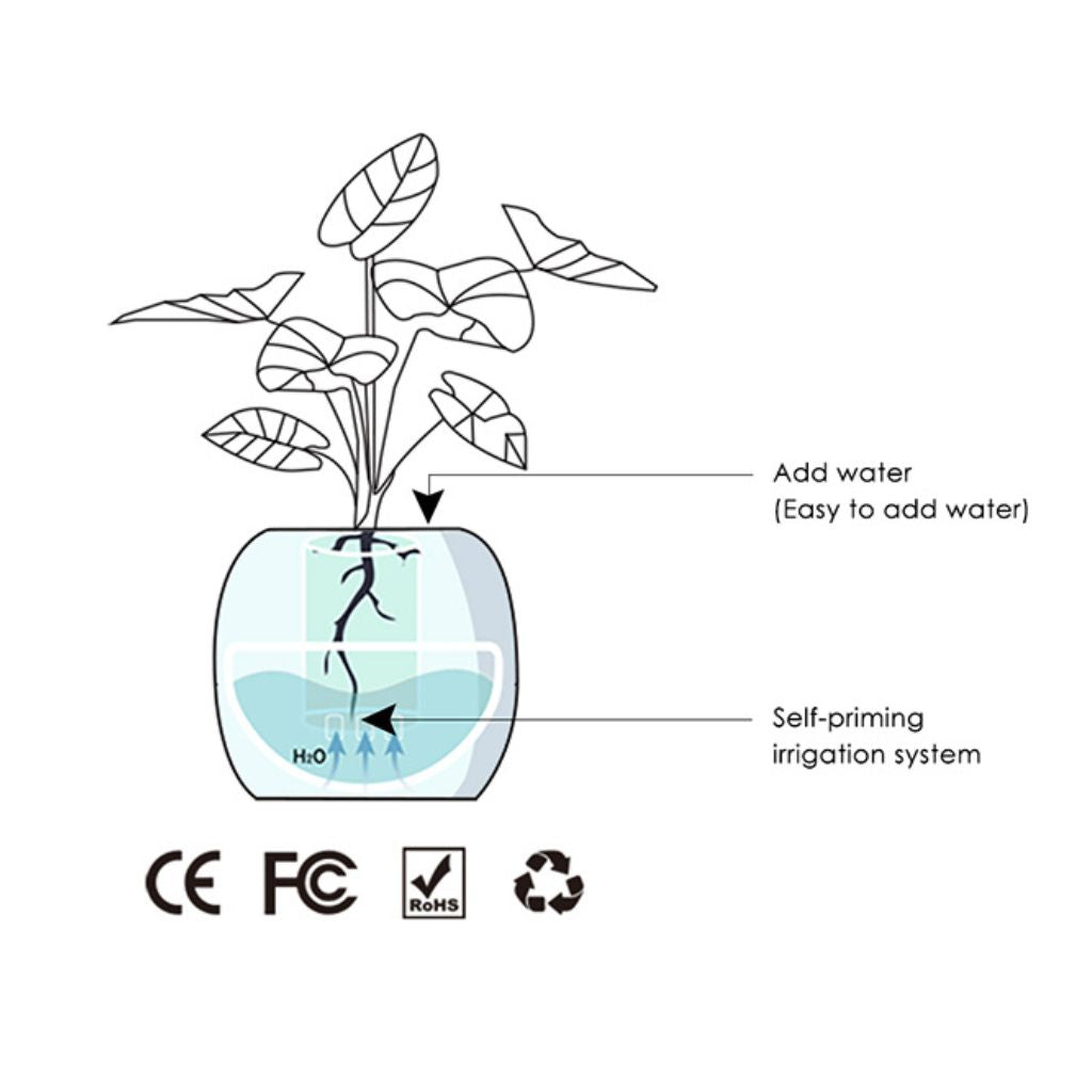 Cauzac™ EcoCare Smart Ivy Plant – The Intelligent Plant Companion